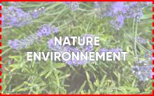TP Nature et Environnement