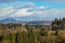 forêt écosse éoliennes