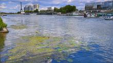 la seine